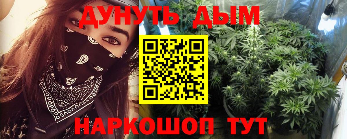 Бошки марихуана Amnesia  Бошки Шишки индика  МАРИХУАНА план  Вход с VPN  Гусь-Хрустальный 
